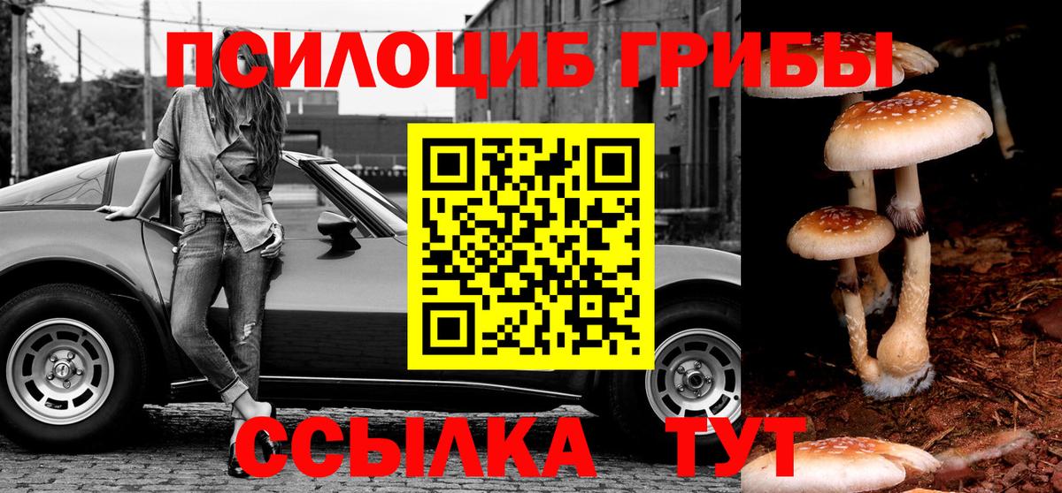 Галлюциногенные грибы мухоморы  Псилоцибиновые грибы мицелий  Вход с VPN  Улан-Удэ 