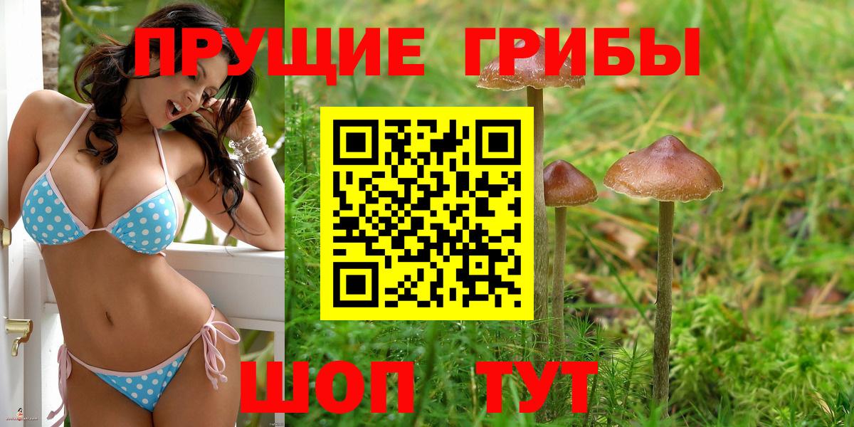 Галлюциногенные грибы мухоморы Улан-Удэ